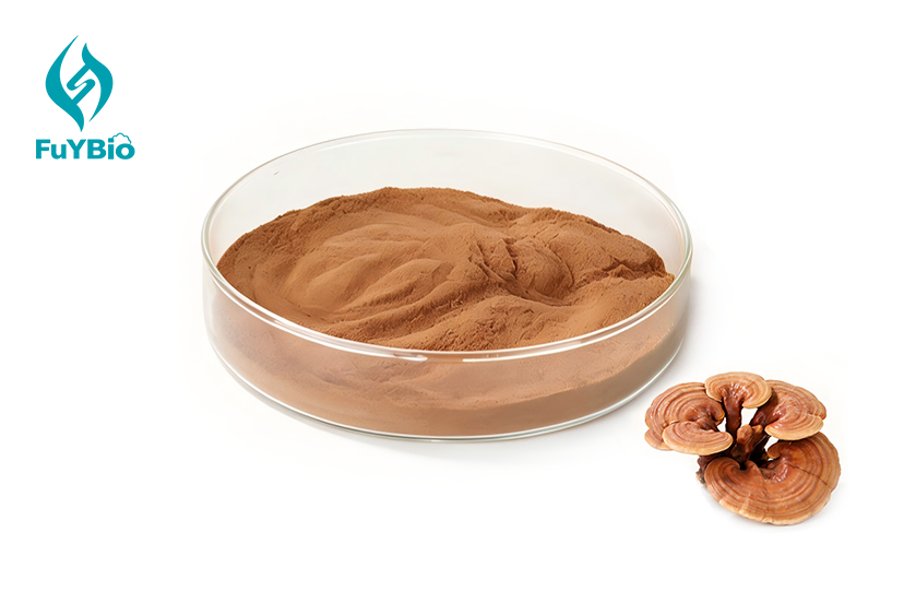 Reishi Mushroom Extract Powder